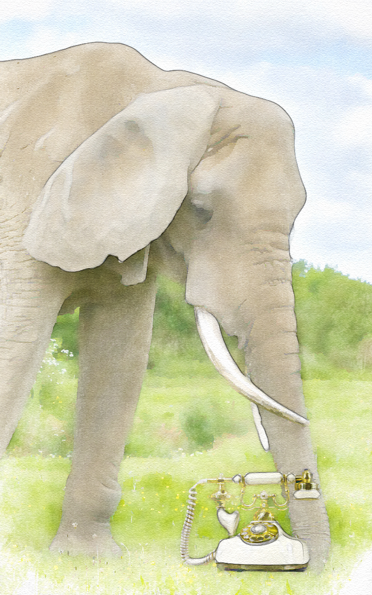 edit elephone elephant-3435380_1920