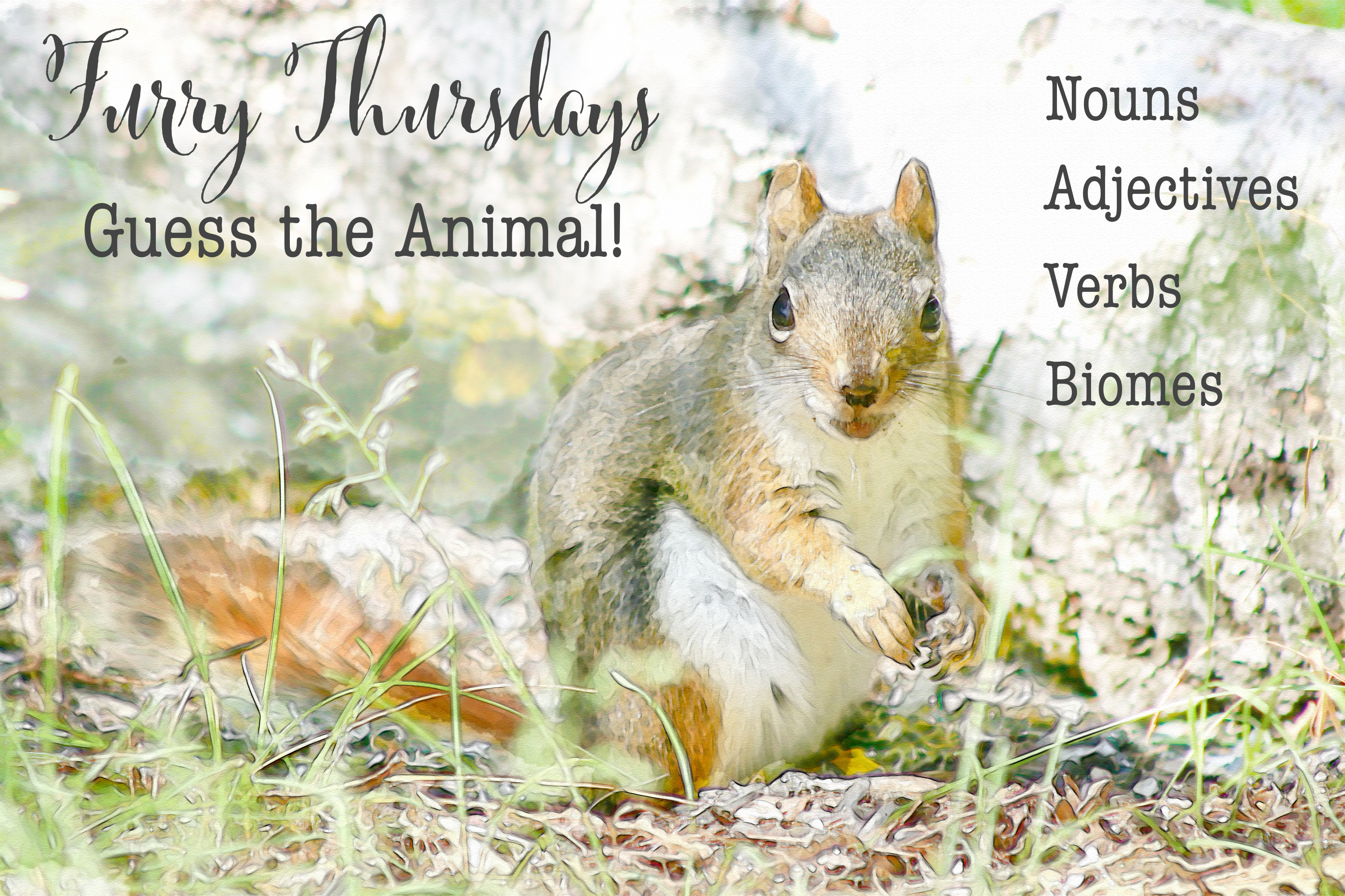 Furry Thursday chipmunk