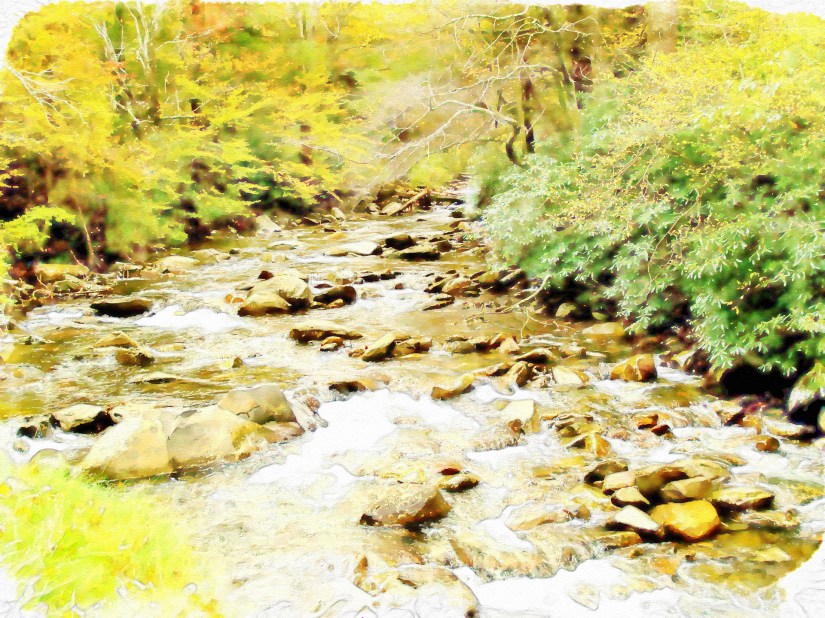 the brook scenic-787617_1920