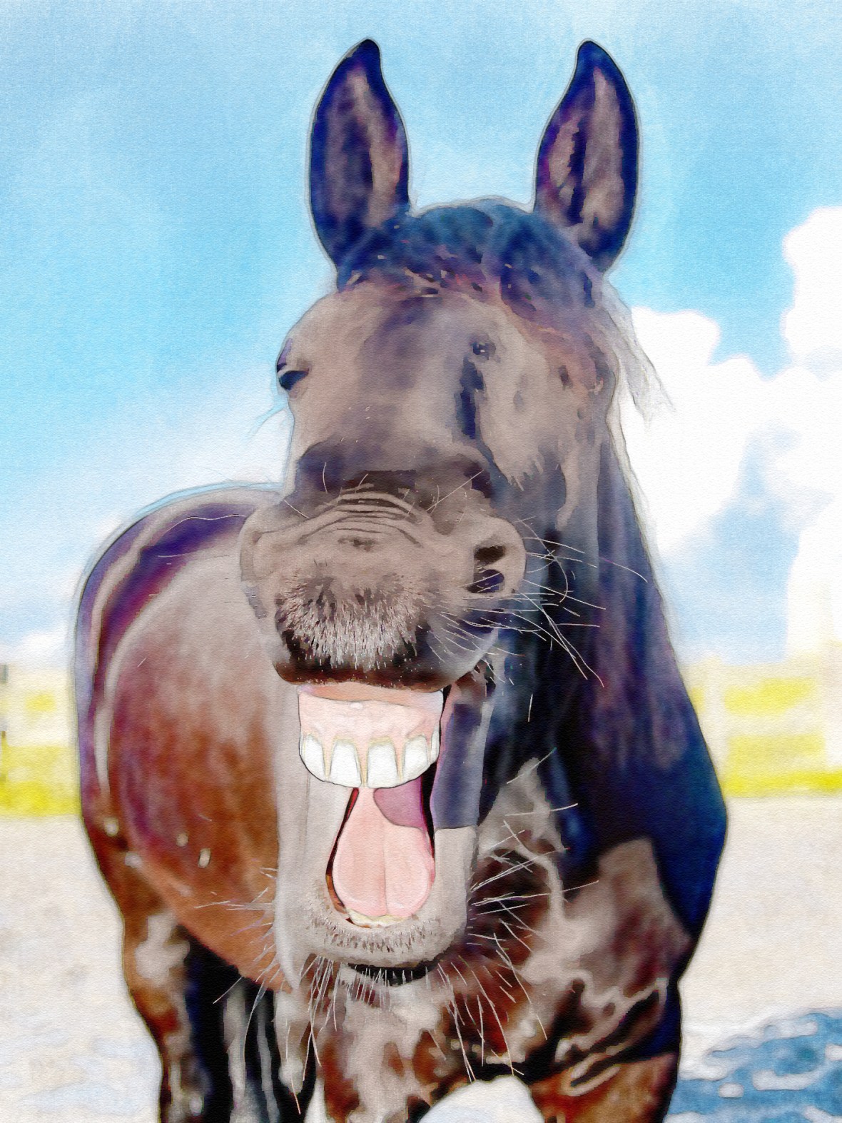 edit laughter horse-1844792_1920.jpg